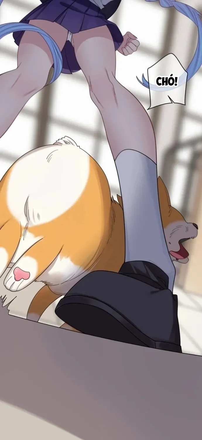 Làm Sao Để Chạy Trốn Dàn Hậu Cung [Chap 205-208] — trang 14