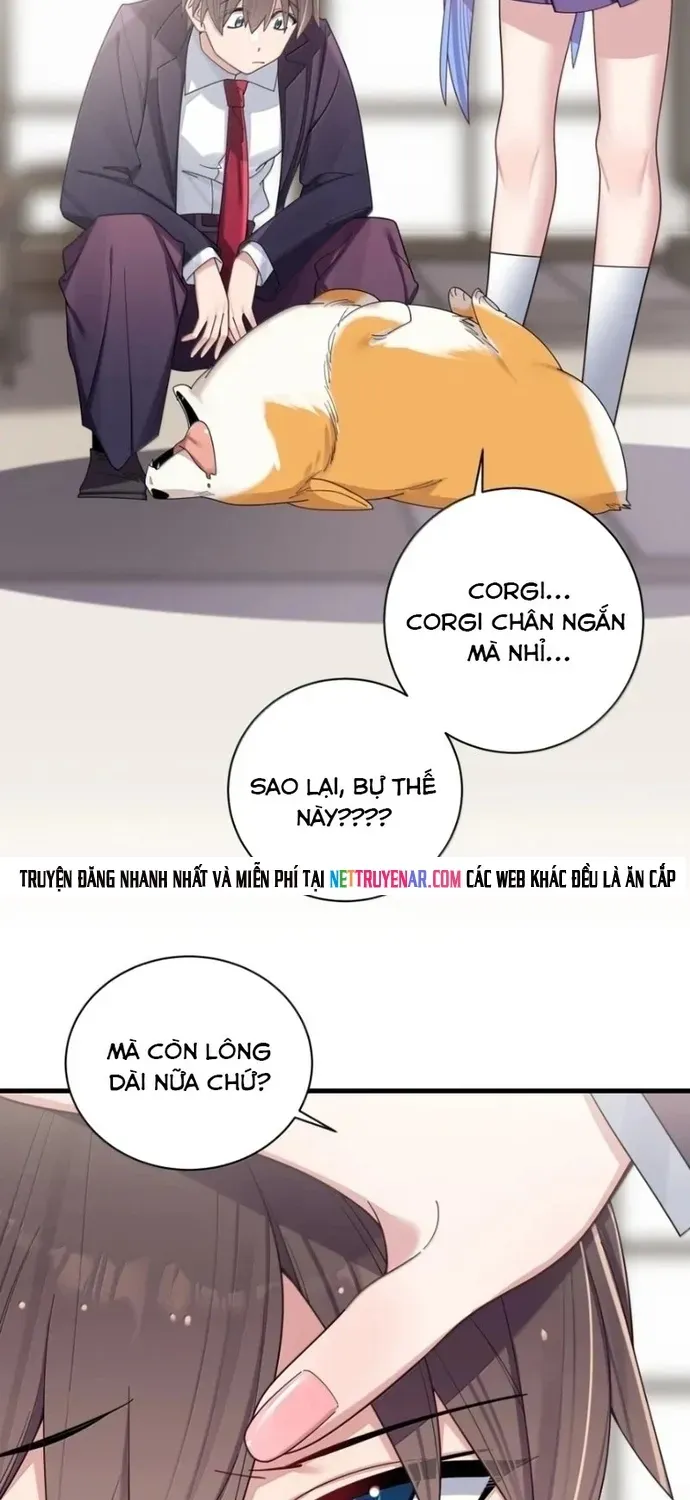 Làm Sao Để Chạy Trốn Dàn Hậu Cung [Chap 205-208] — trang 21