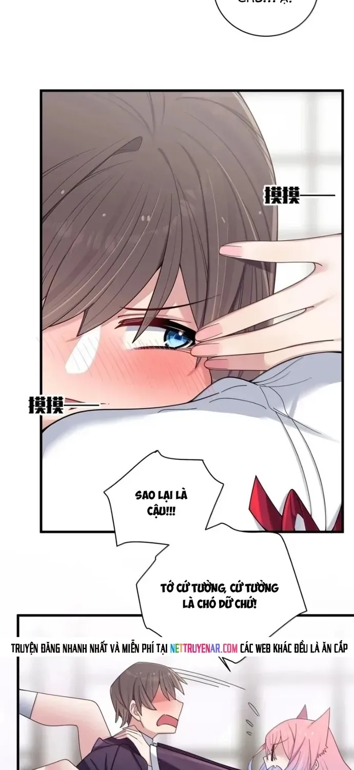 Làm Sao Để Chạy Trốn Dàn Hậu Cung [Chap 205-208] — trang 29