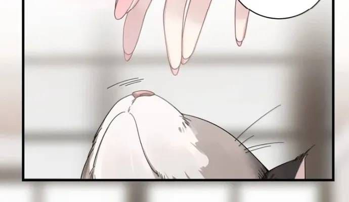 Làm Sao Để Chạy Trốn Dàn Hậu Cung [Chap 205-208] — trang 41