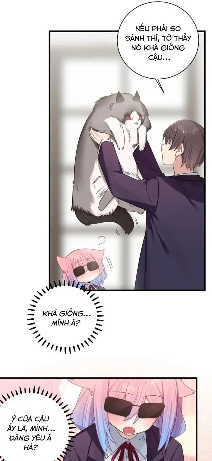 Làm Sao Để Chạy Trốn Dàn Hậu Cung [Chap 205-208] — trang 43