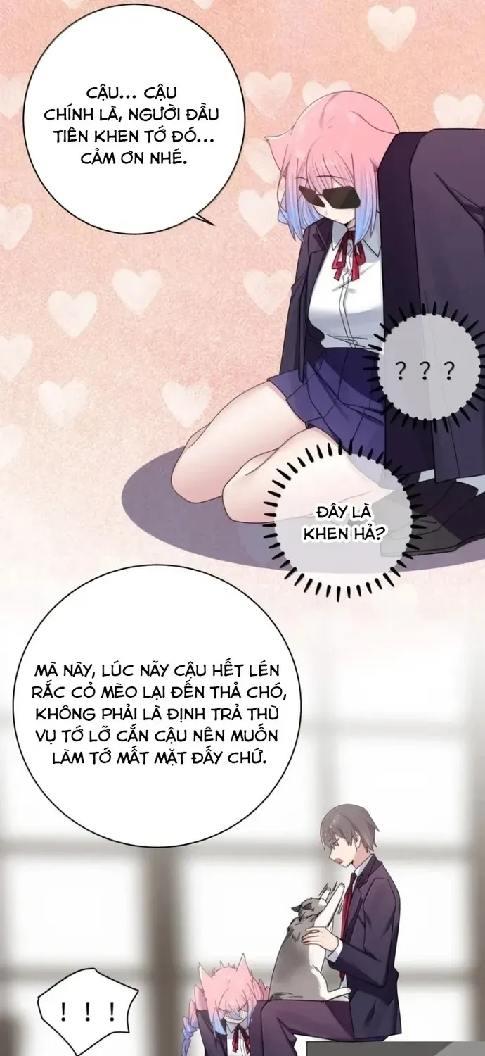 Làm Sao Để Chạy Trốn Dàn Hậu Cung [Chap 205-208] — trang 45