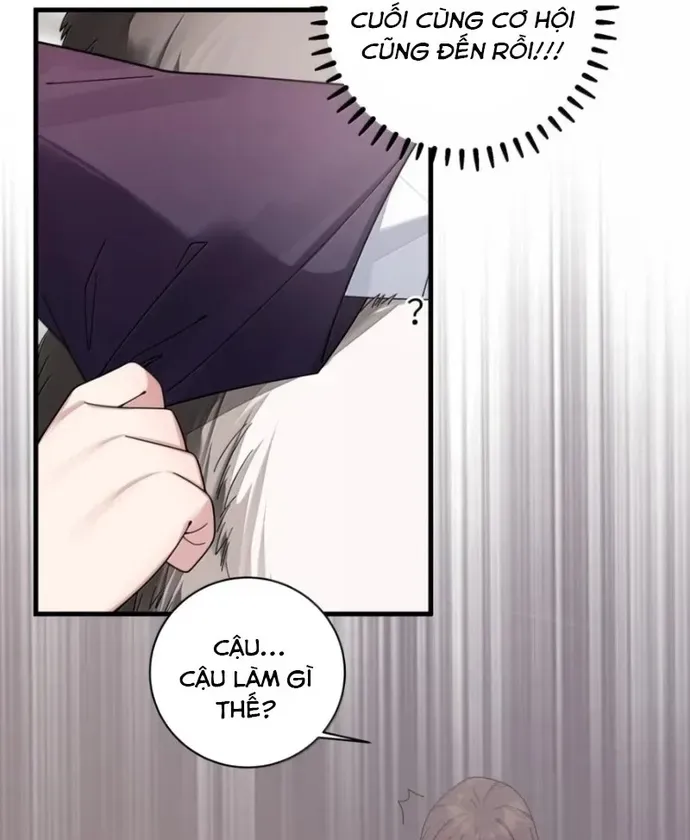 Làm Sao Để Chạy Trốn Dàn Hậu Cung [Chap 205-208] — trang 49