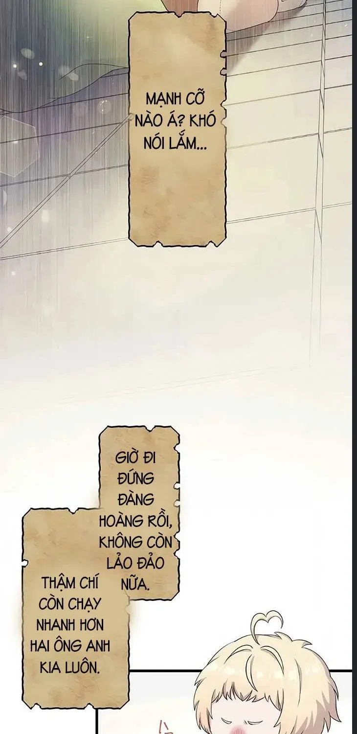 Tiểu Thư Út Tái Sinh  Sát Thủ Huyền Thoại Tái Sinh Thành Ái Nữ Út Được Sủng Ái Của Hoàng Gia [Chap 0-36] — trang 31