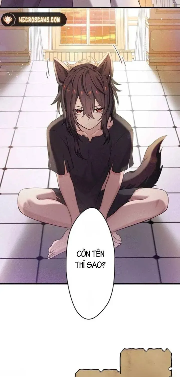 Tiểu Thư Út Tái Sinh  Sát Thủ Huyền Thoại Tái Sinh Thành Ái Nữ Út Được Sủng Ái Của Hoàng Gia [Chap 0-36] — trang 14