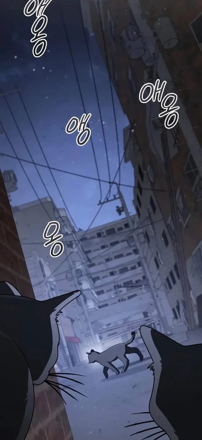 Đa Sắc Ma Pháp Sư Thiên Tài