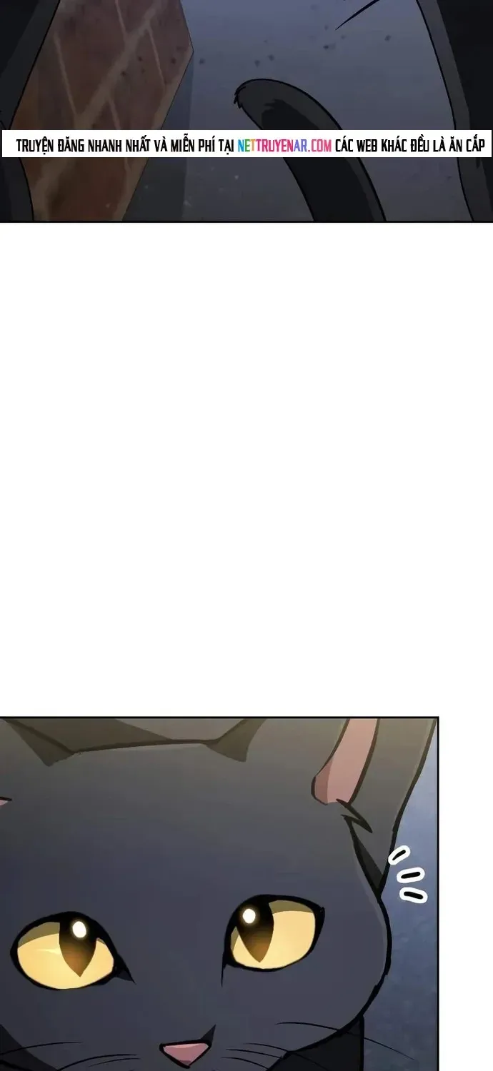 Đa Sắc Ma Pháp Sư Thiên Tài