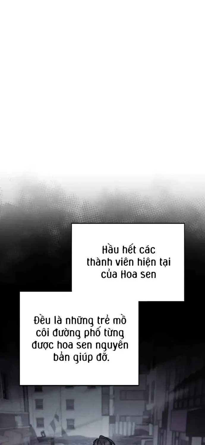 Đa Sắc Ma Pháp Sư Thiên Tài