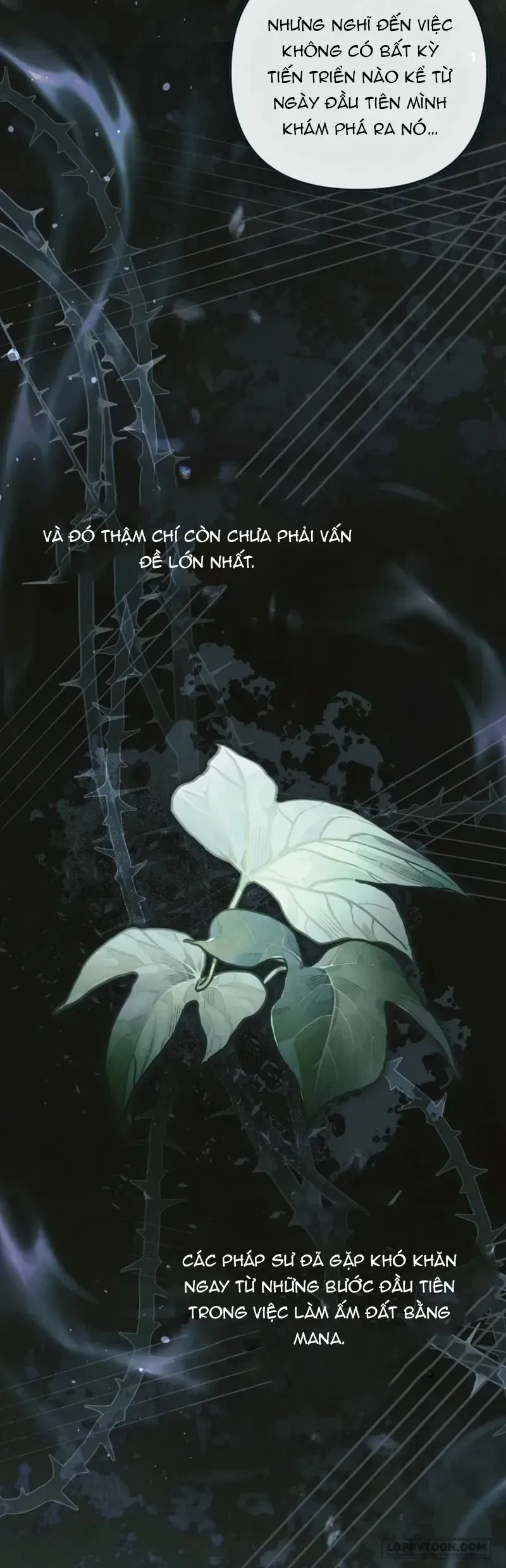 Độc Chiếm Sự Sủng Ái Của Công Nương Út, Mọi Người Đều Ám Ảnh Tôi - Chương 45 - Trang 18