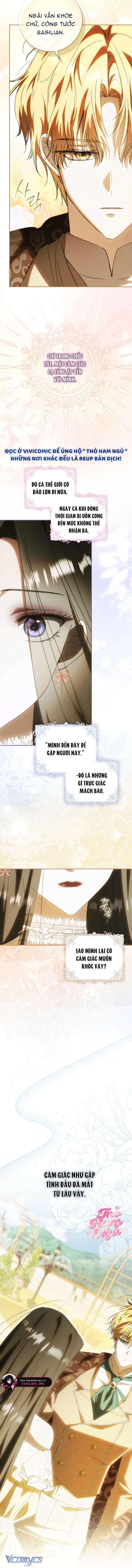 Chồng Tôi Là Bias Số Một, Nhưng Có Vẻ Chúng Tôi Sắp Ly Hôn - Chương 10 - Trang 6