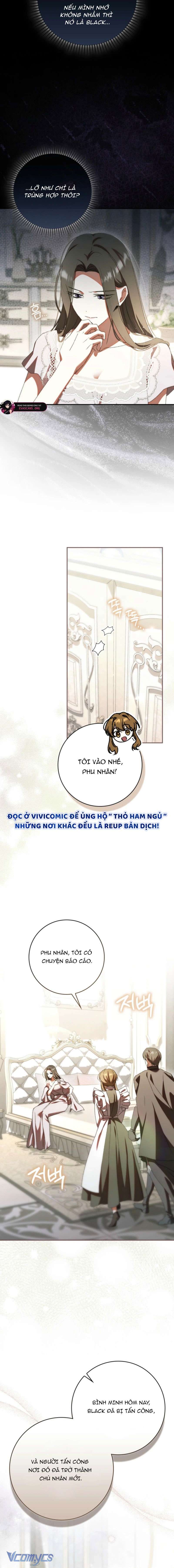 Chồng Tôi Là Bias Số Một, Nhưng Có Vẻ Chúng Tôi Sắp Ly Hôn - Chương 22 - Trang 13