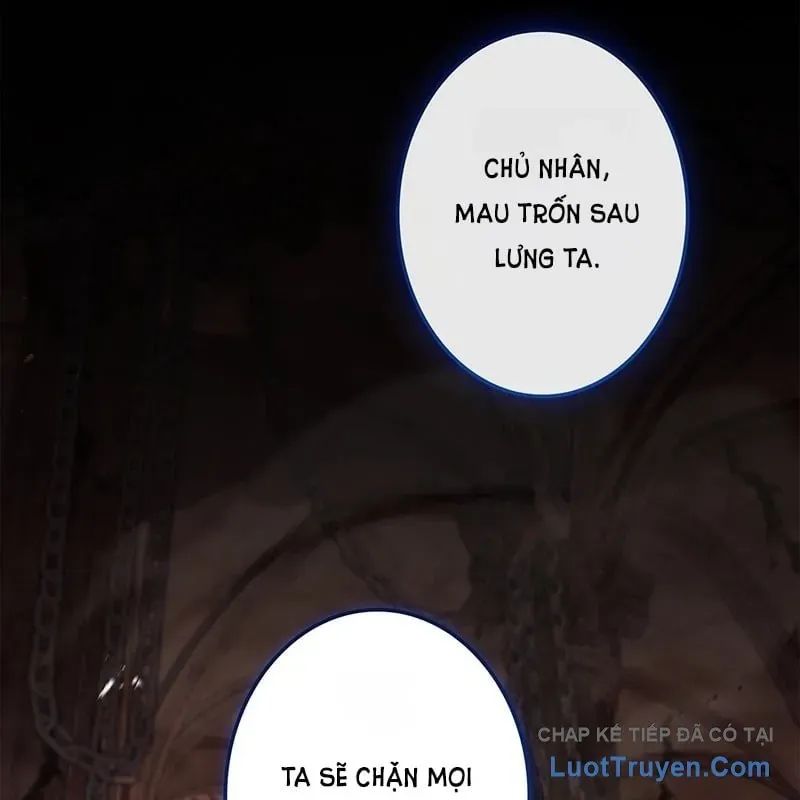 Thánh Giả Thăng Cấp Nhờ Chiêu Hồn Sư - Chương 16 - Trang 48