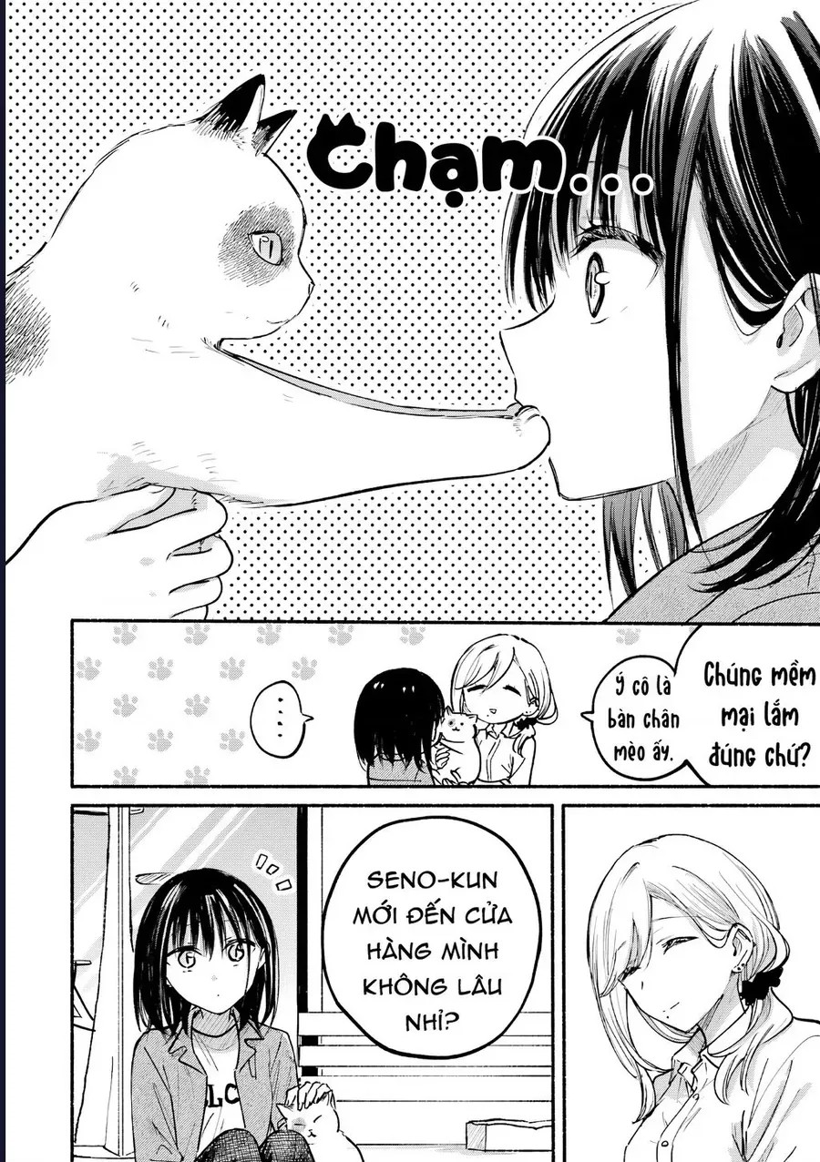 Cô nàng mèo ngủ gật và Chàng trai hướng nội - Chương 36 - Trang 13