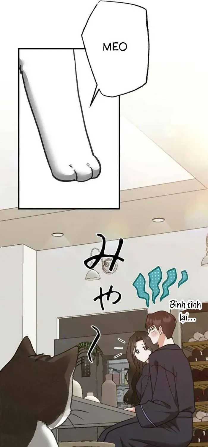 lan-dau-cua-tong-tai-43