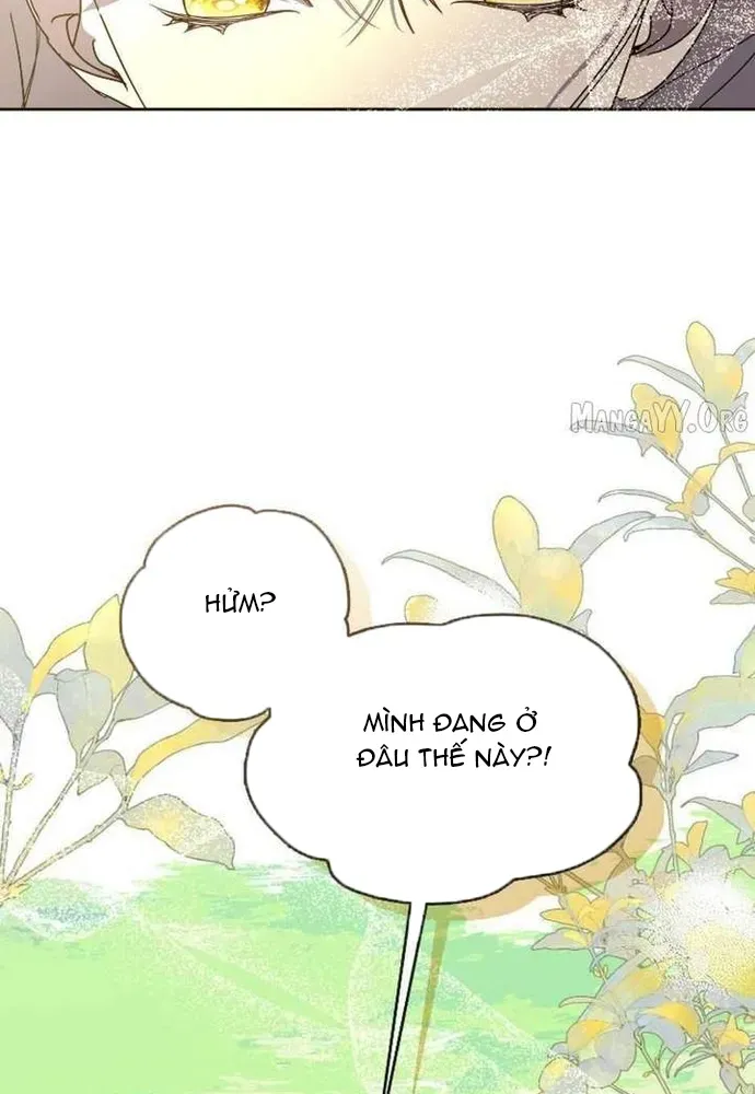 Tình Yêu Hỡi, Sao Người Lại Hối Hận Rồi? - Chương 62 - Trang 102