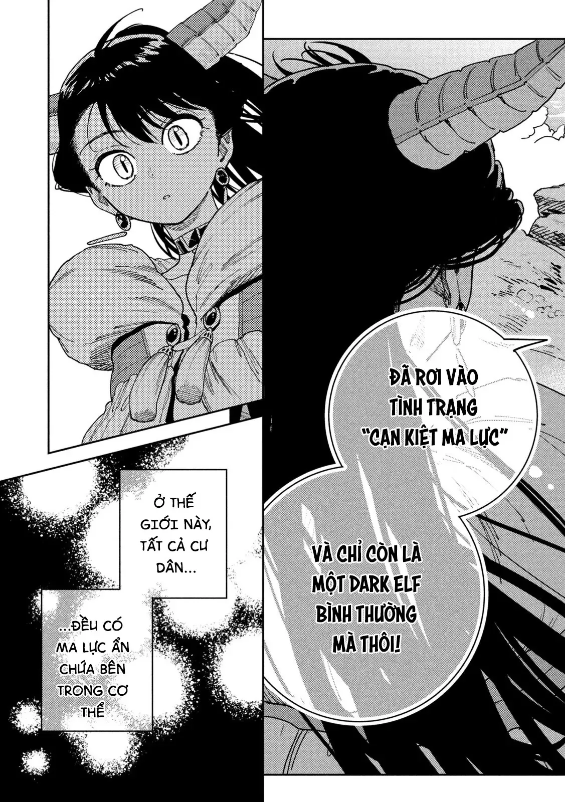 Nàng Dark Elf Với Ma Lực Tàn Phai - Chương 1 - Trang 38