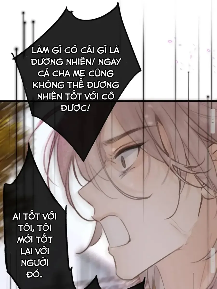 toi-mong-giua-ban-ngay-40