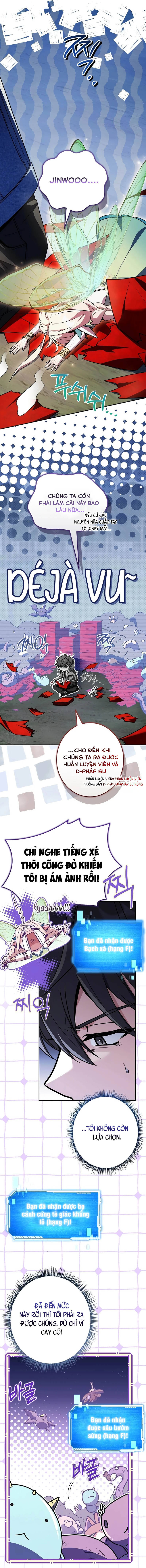 Một Mình Ta Sở Hữu Triệu Hồi Thú Cấp Ex - Chương 11 - Trang 11