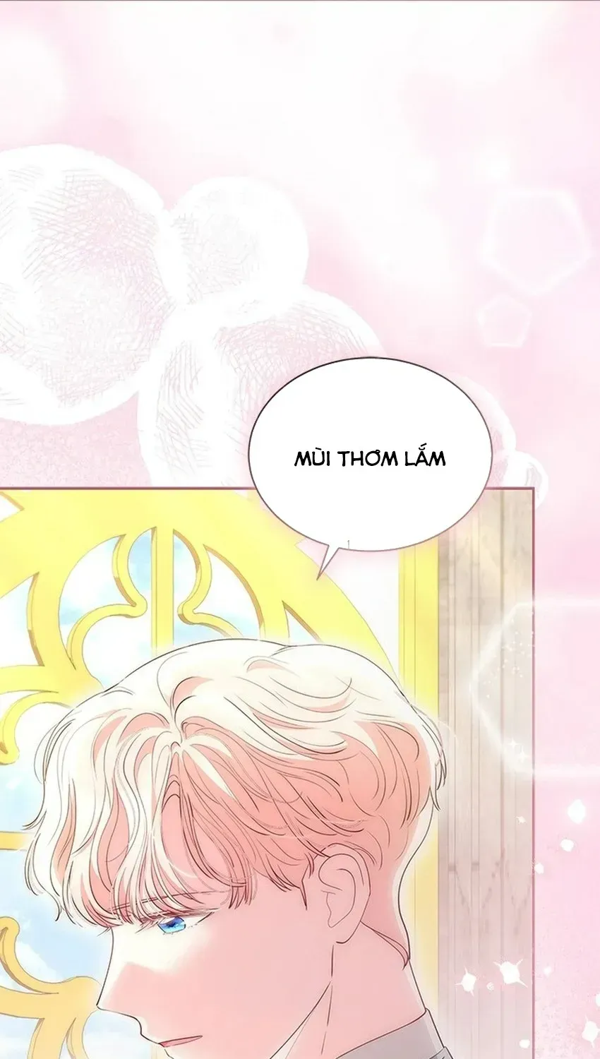 Từ Chối Sủng Ái Thì Sao Lại Bị Ám Ảnh - Chương 81 - Trang 31