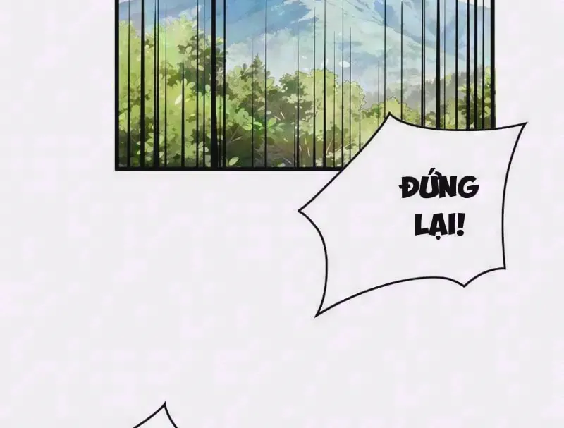 Vô Địch Bị Động Tạo Ra Tấn Sát Thương Chap 165 - Next Chap 164