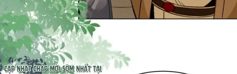 Hải Vương Sau Khi Hoàn Lương Sa Vào Tu La Tràng - Chương 68 - Trang 26
