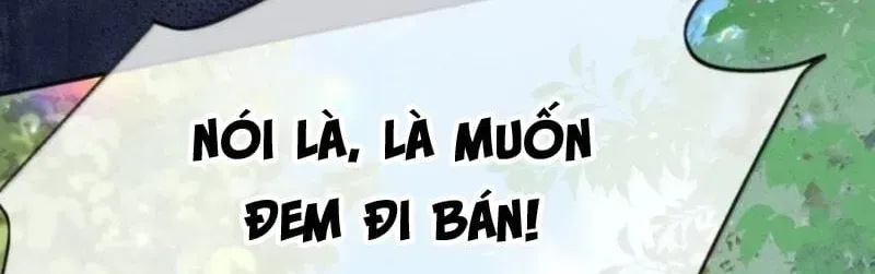 Hải Vương Sau Khi Hoàn Lương Sa Vào Tu La Tràng - Chương 68 - Trang 34