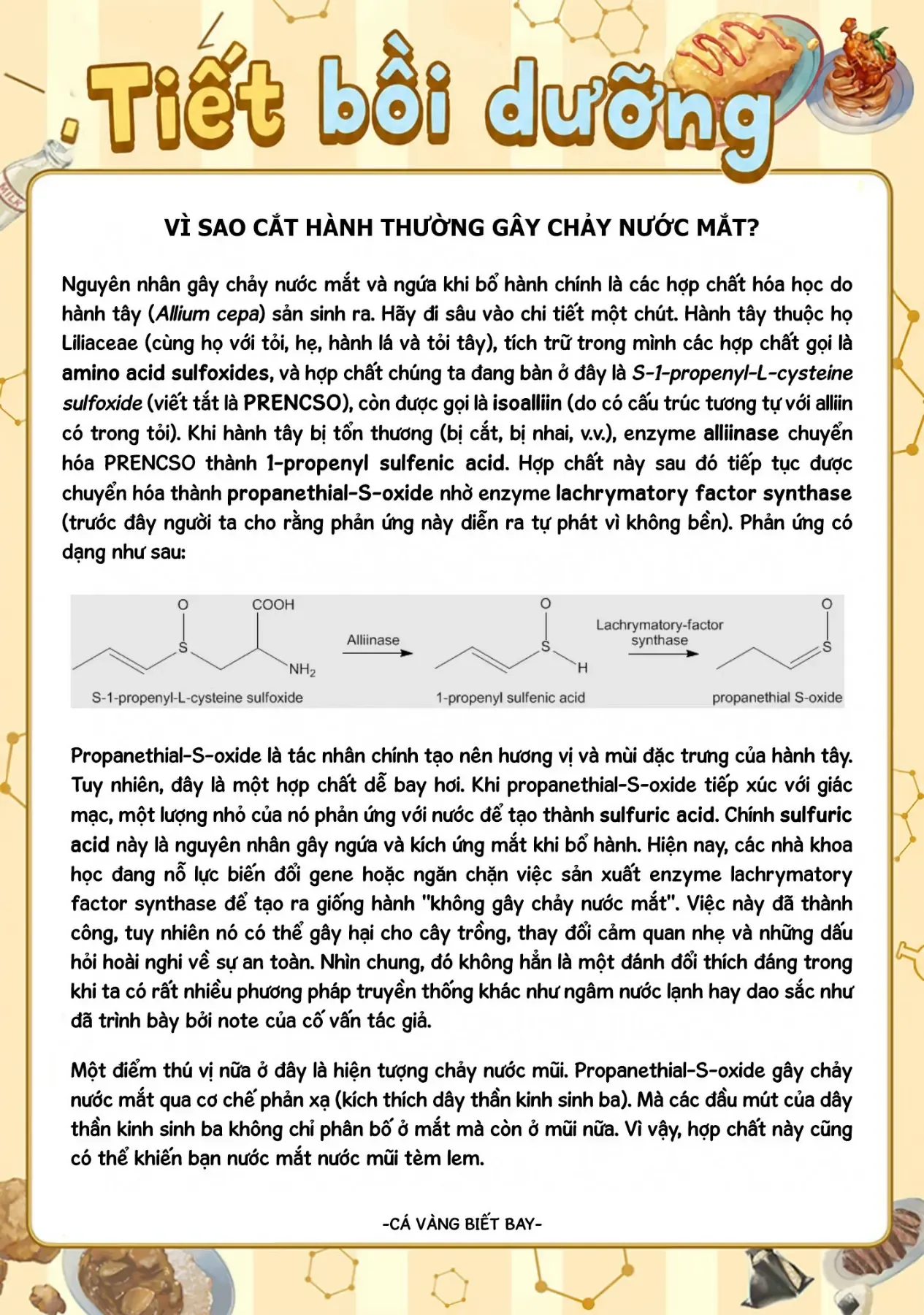 Tên Đầu Gấu Và Bữa Ăn Khoa Học [Chap 8-9] — trang 48