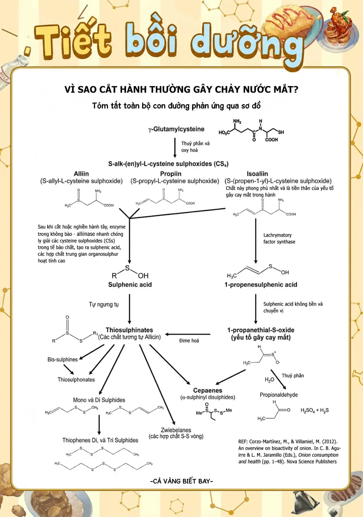 Tên Đầu Gấu Và Bữa Ăn Khoa Học [Chap 8-9] — trang 49
