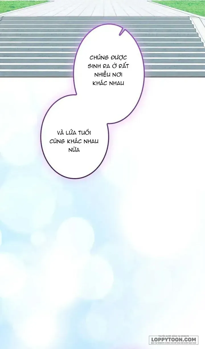 Không Cần Hối Hận [Chap 28-29] — trang 14