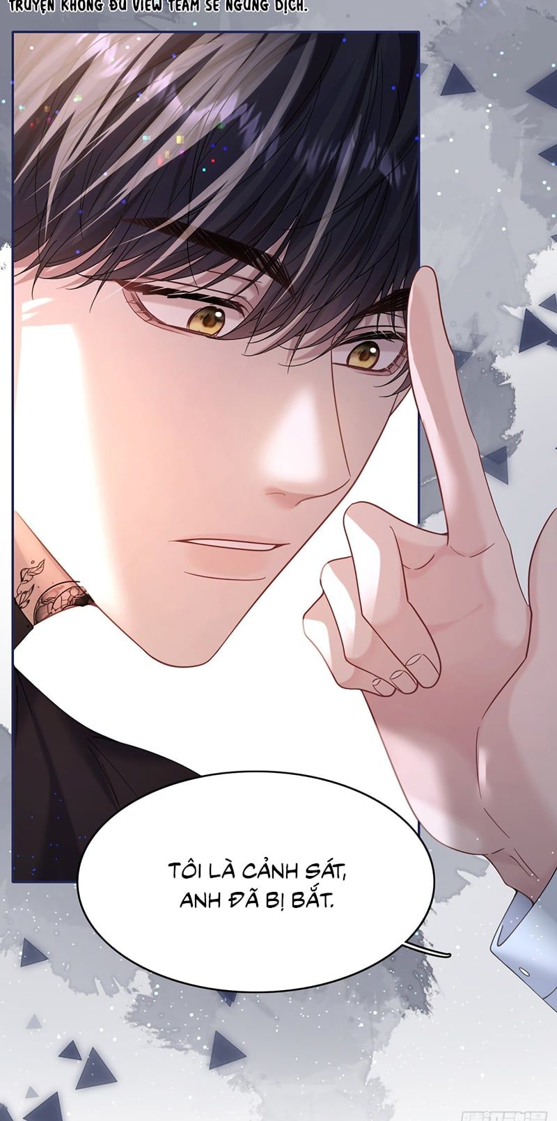 Tôi Cố Ý Giả Vờ Chap 10 - Next Chap 9