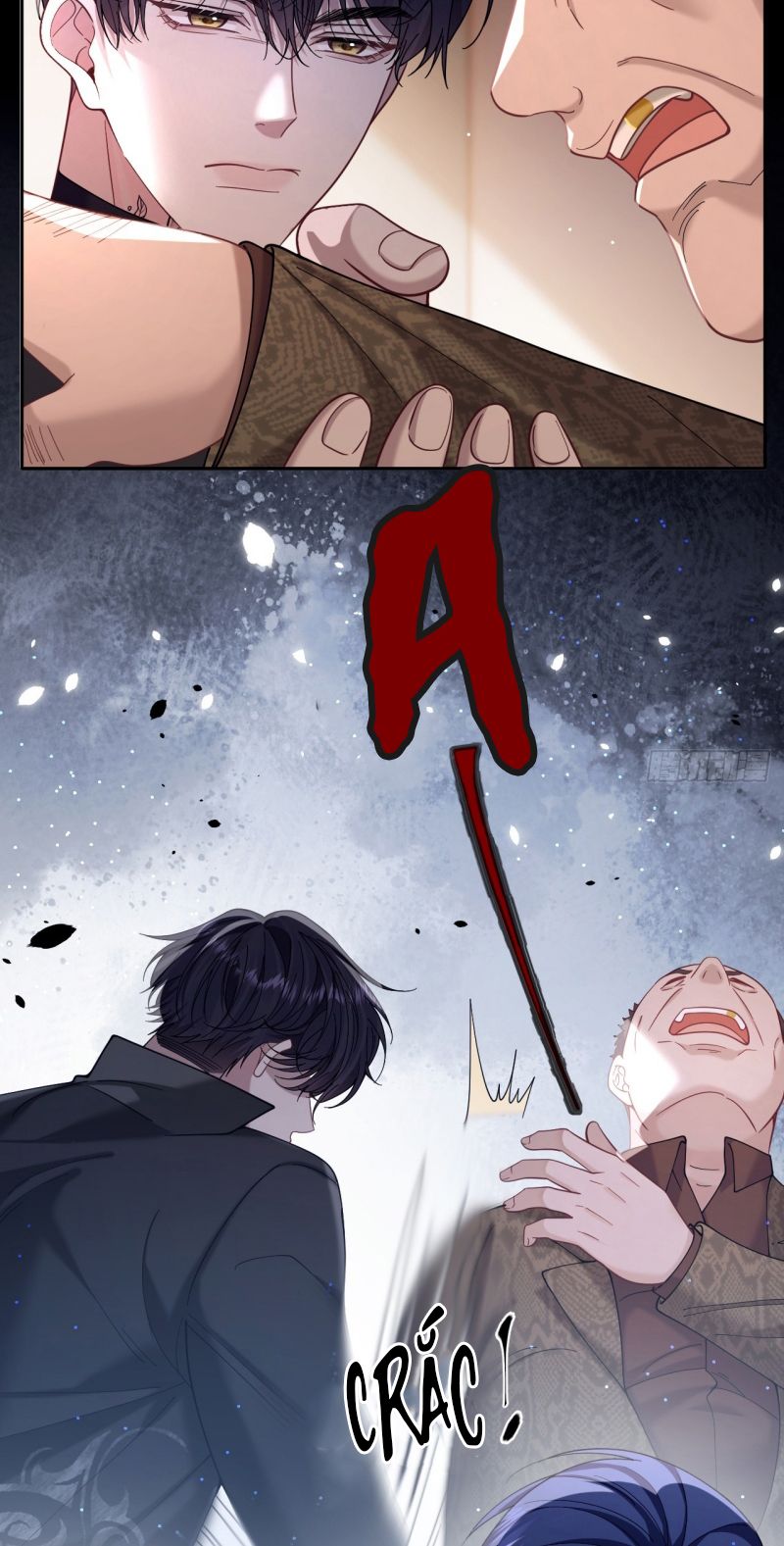 Tôi Cố Ý Giả Vờ Chap 11 - Next Chap 10