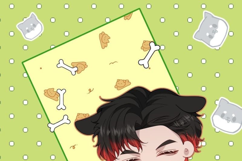 Tôi Cố Ý Giả Vờ Chap 13 - Next Chap 12