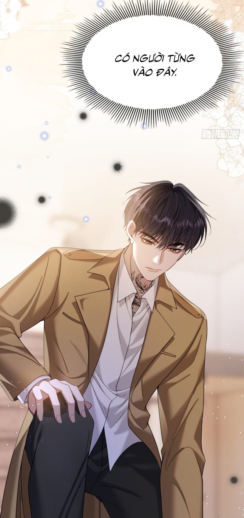 Tôi Cố Ý Giả Vờ Chap 13 - Next Chap 12