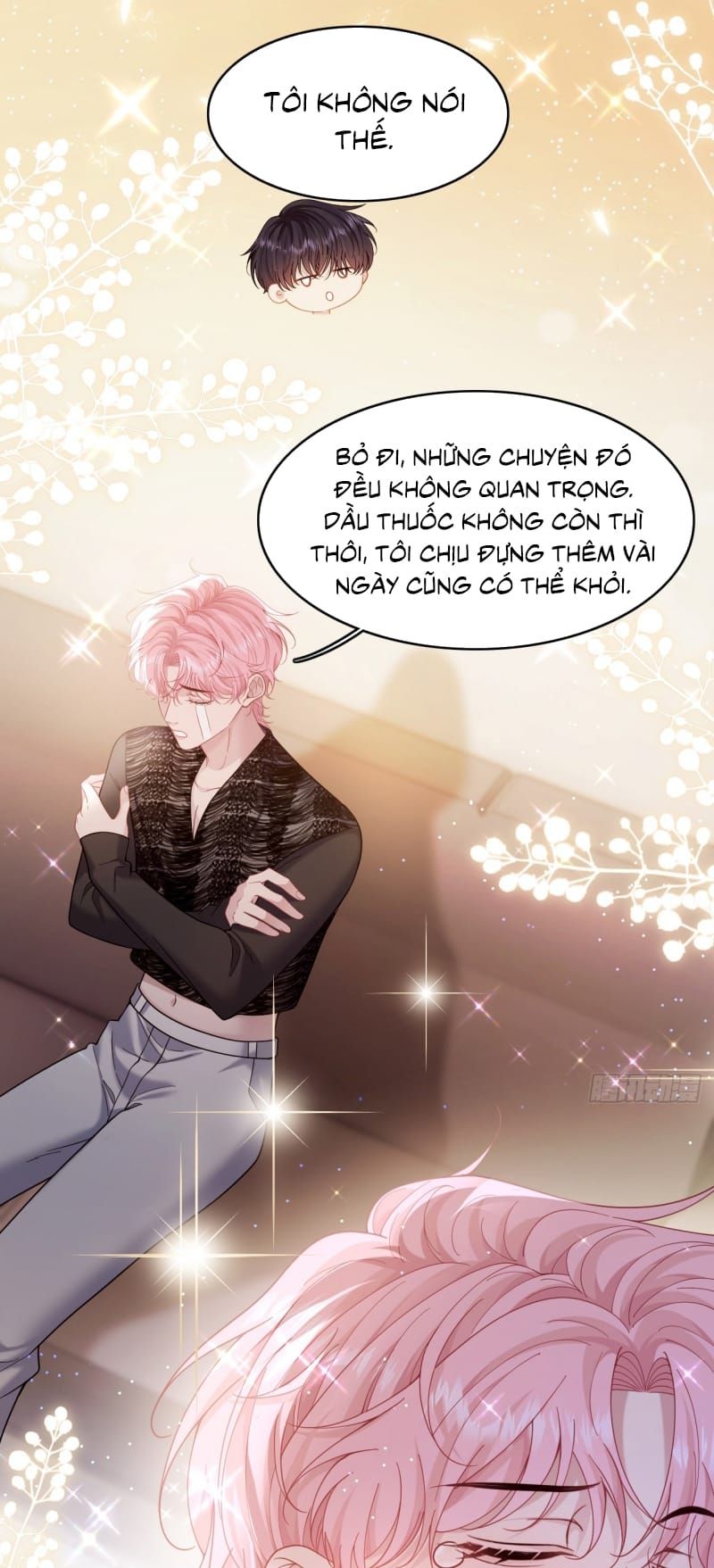 Tôi Cố Ý Giả Vờ Chap 13 - Next Chap 12