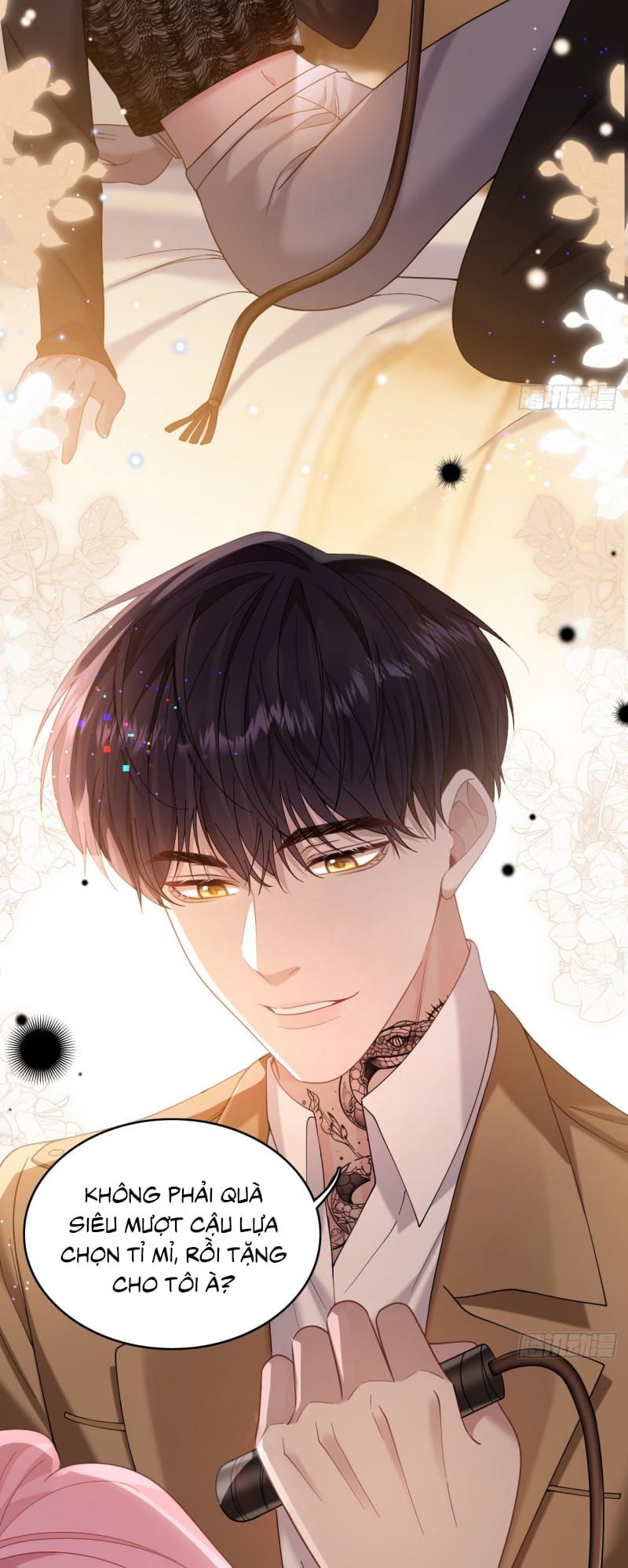 Tôi Cố Ý Giả Vờ Chap 14 - Next Chap 13