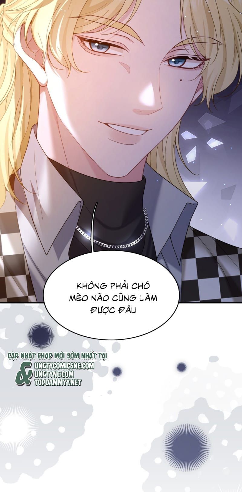 Tôi Cố Ý Giả Vờ Chap 16 - Next Chap 15