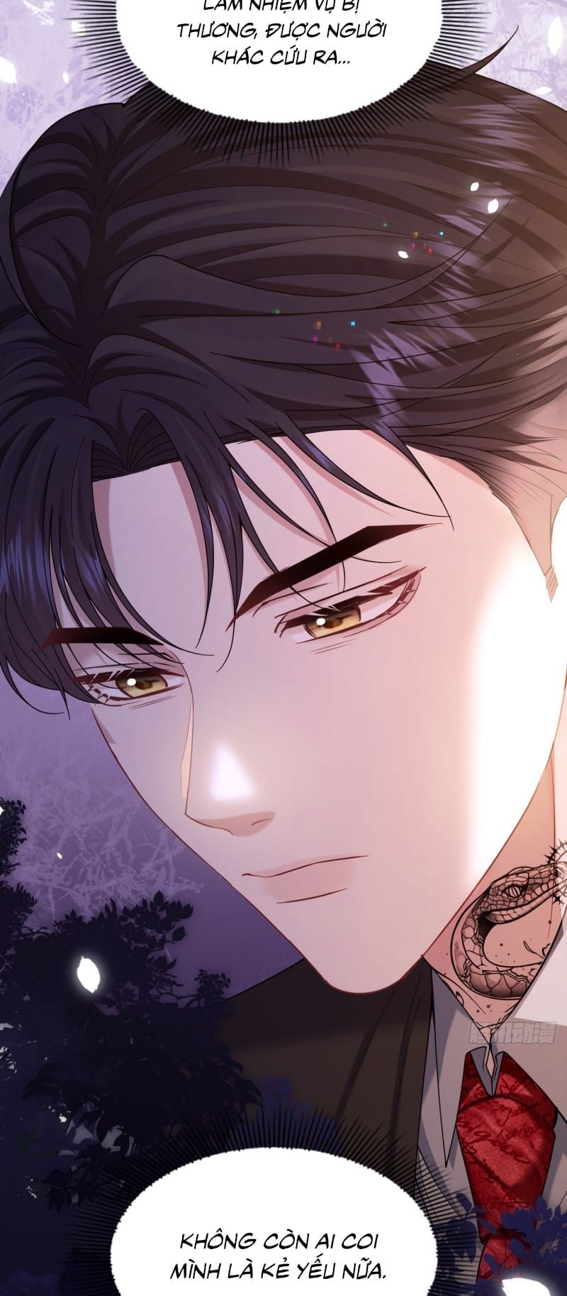 Tôi Cố Ý Giả Vờ Chap 17 - Next Chap 16