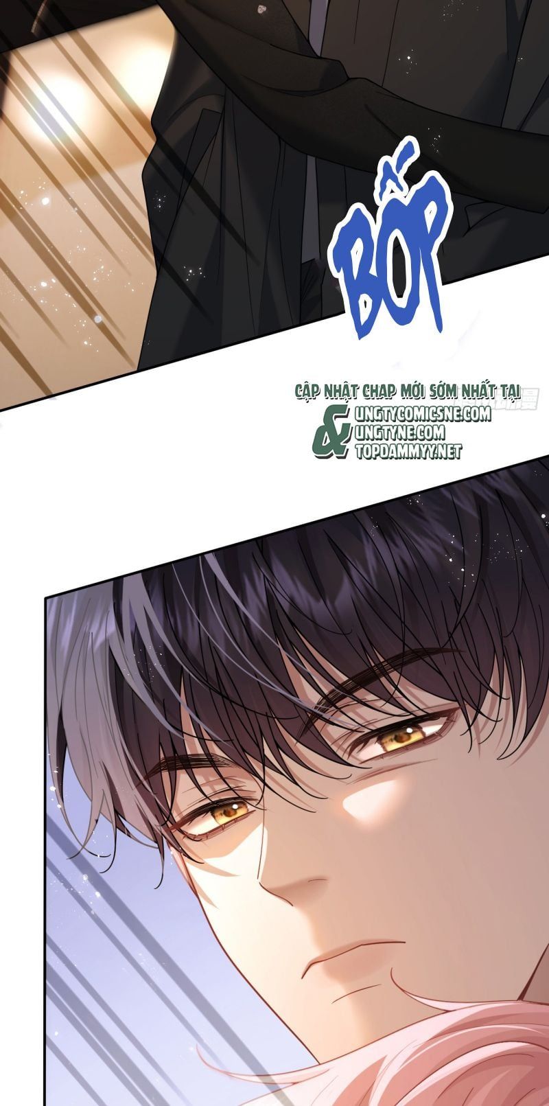 Tôi Cố Ý Giả Vờ Chap 2 - Next Chap 1