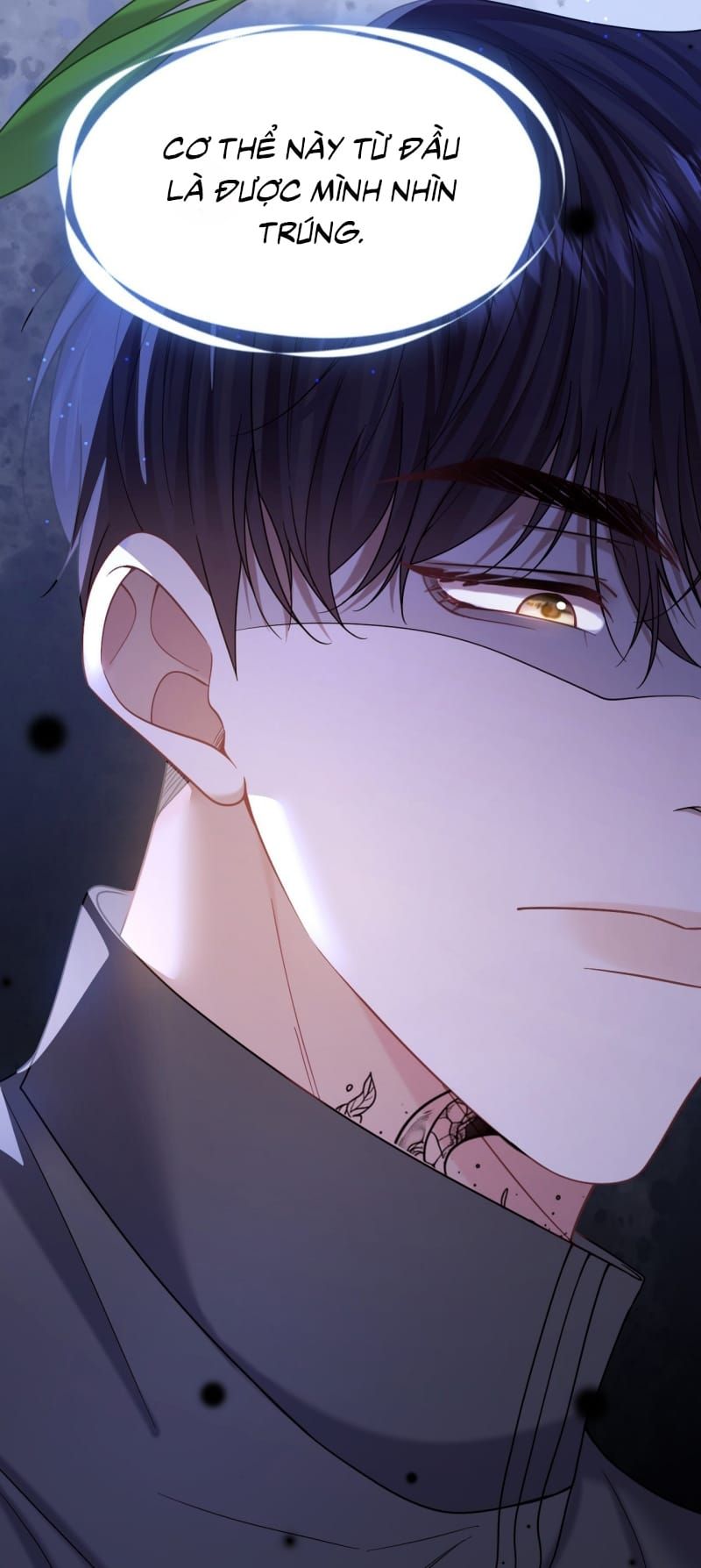 Tôi Cố Ý Giả Vờ Chap 20 - Next Chap 19