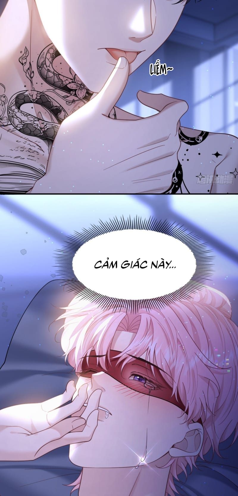 Tôi Cố Ý Giả Vờ Chap 20 - Next Chap 19