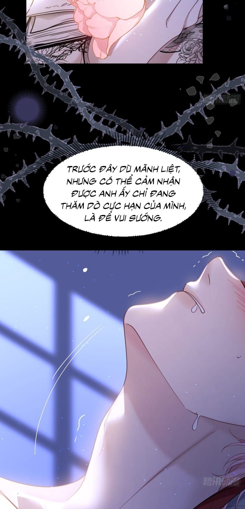 Tôi Cố Ý Giả Vờ Chap 20 - Next Chap 19