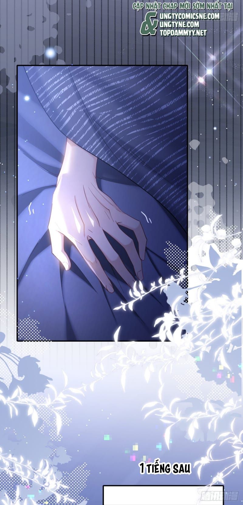Tôi Cố Ý Giả Vờ Chap 20 - Next Chap 19