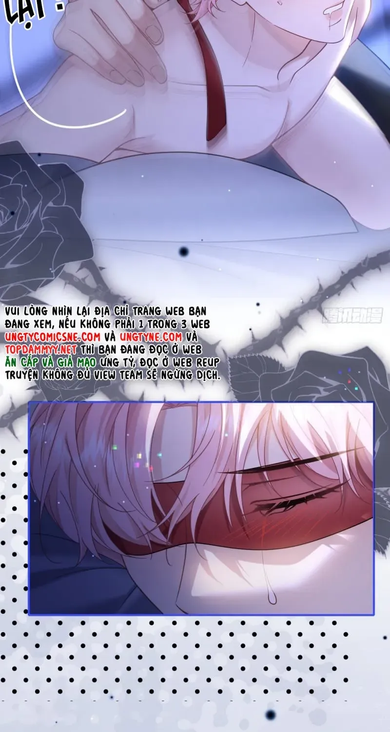 Tôi Cố Ý Giả Vờ Chap 20 - Next Chap 19