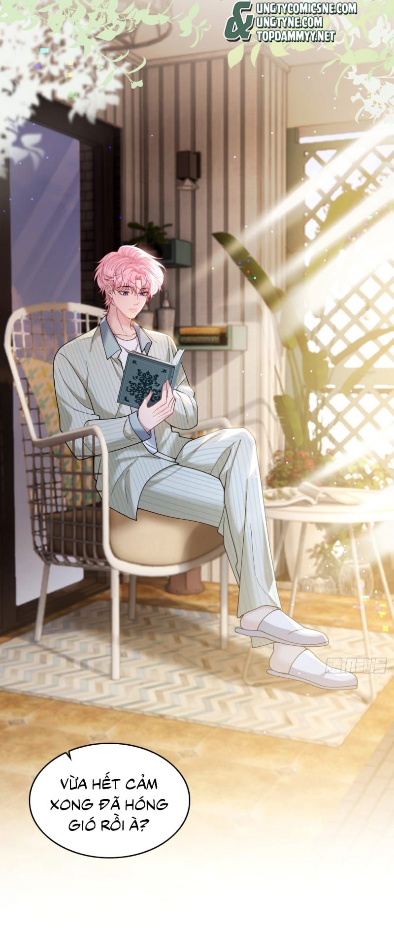 Tôi Cố Ý Giả Vờ Chap 22 - Next Chap 21
