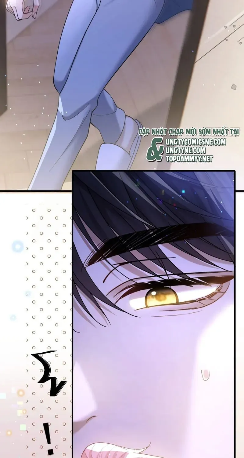 Tôi Cố Ý Giả Vờ Chap 23 - Next Chap 22