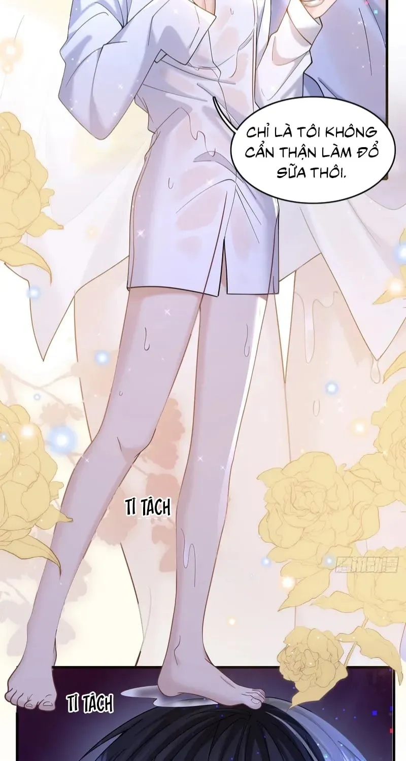 Tôi Cố Ý Giả Vờ Chap 23 - Next Chap 22