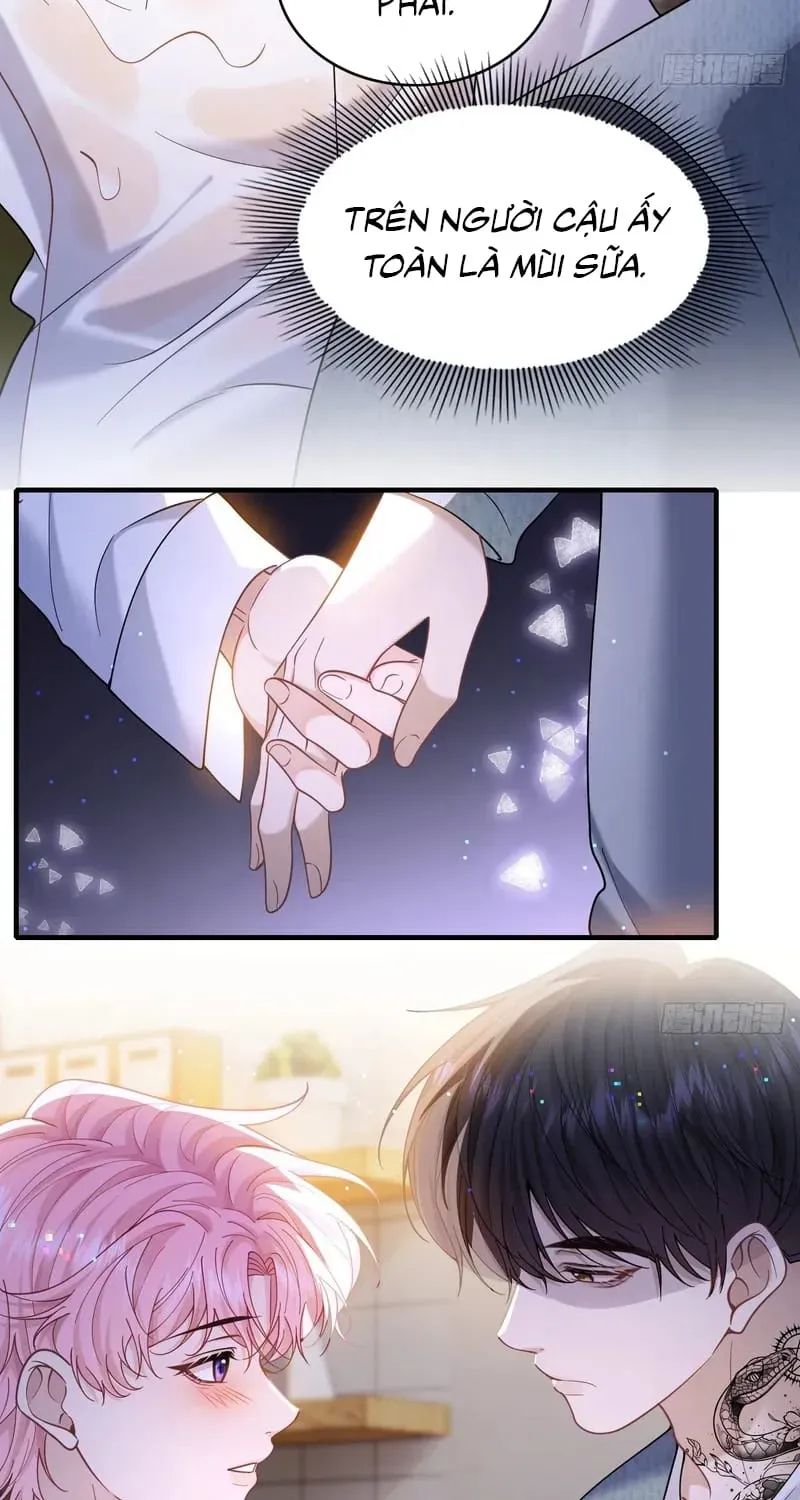 Tôi Cố Ý Giả Vờ Chap 23 - Next Chap 22