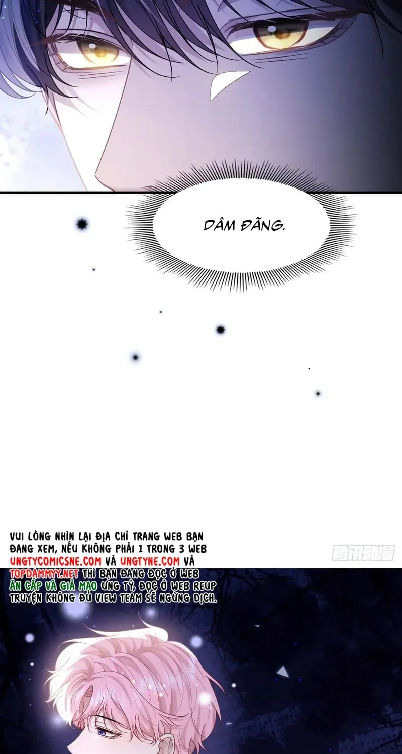 Tôi Cố Ý Giả Vờ Chap 23 - Next Chap 22