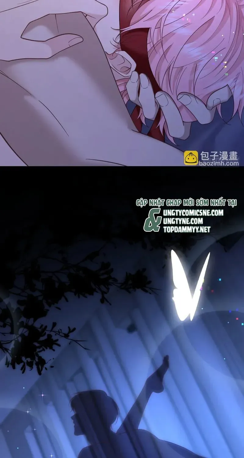 Tôi Cố Ý Giả Vờ Chap 24 - Next Chap 23