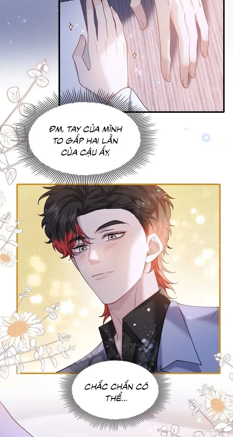 Tôi Cố Ý Giả Vờ Chap 24 - Next Chap 23